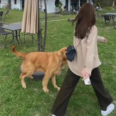 粉红豹再度出击